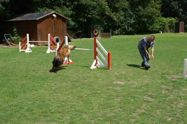 agility 2011-07-24